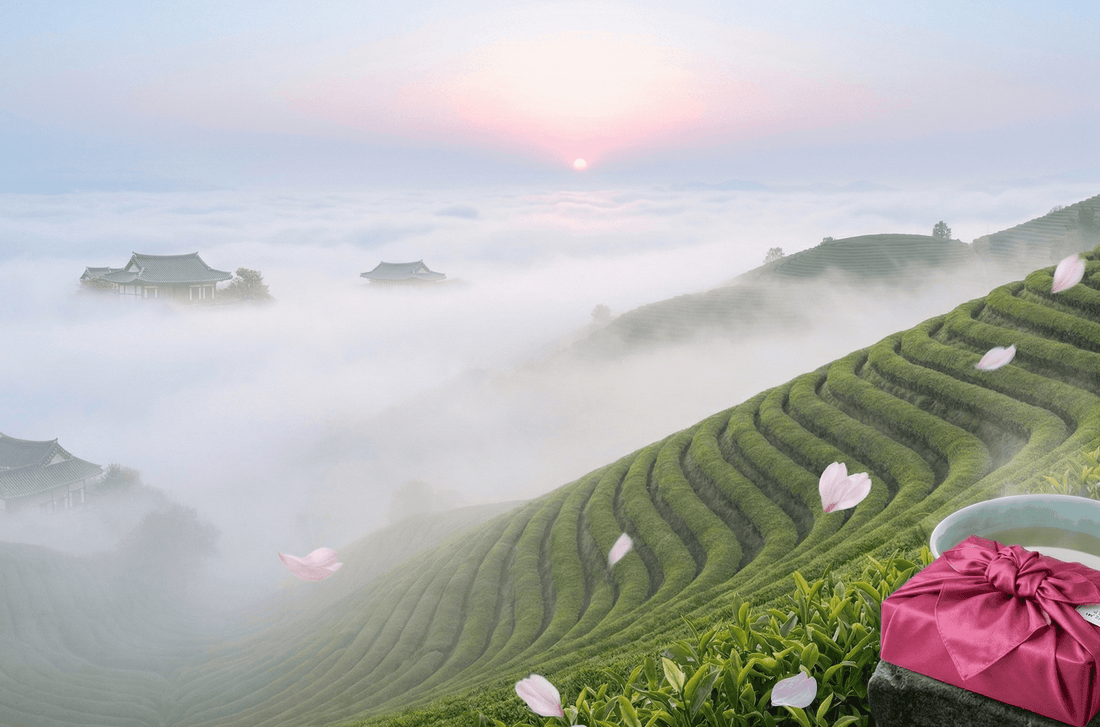 Coffret Wellness Tasting Set & Bojagi Jayeonae et thé sauvage Balhyocha