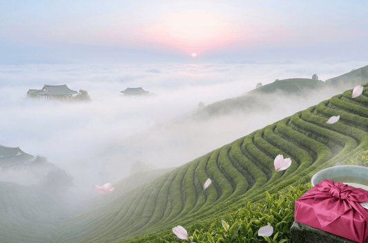 Coffret Wellness Tasting Set & Bojagi Jayeonae et thé sauvage Balhyocha