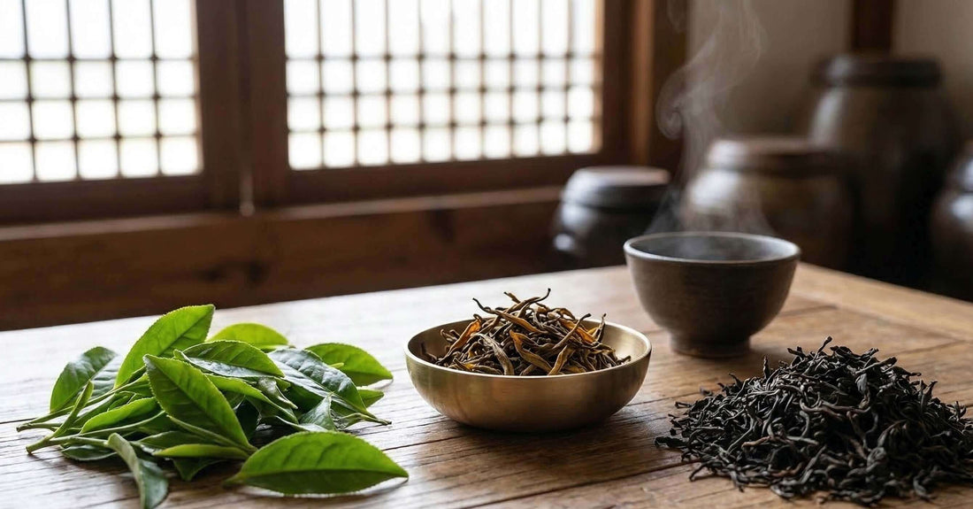 Vert ou Noir : Le Secret de la Transformation et de la Fermentation