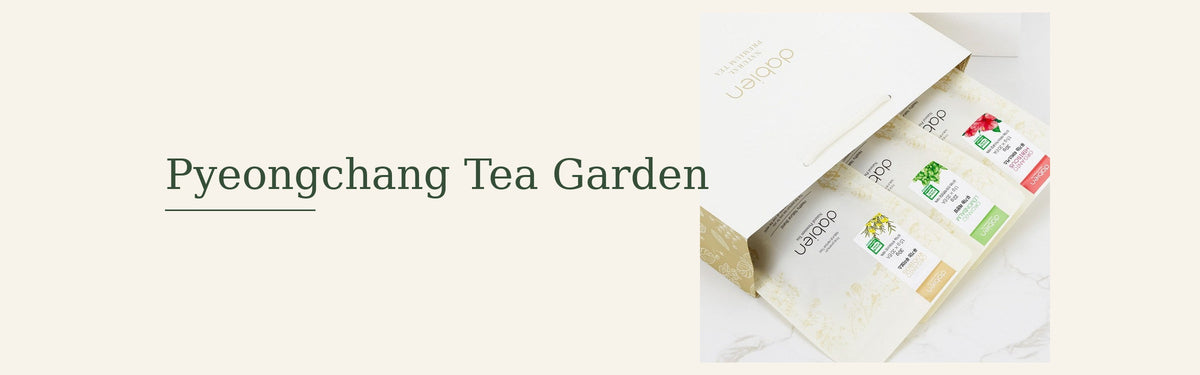 Pyeongchang Tea Garden : thés coréens
