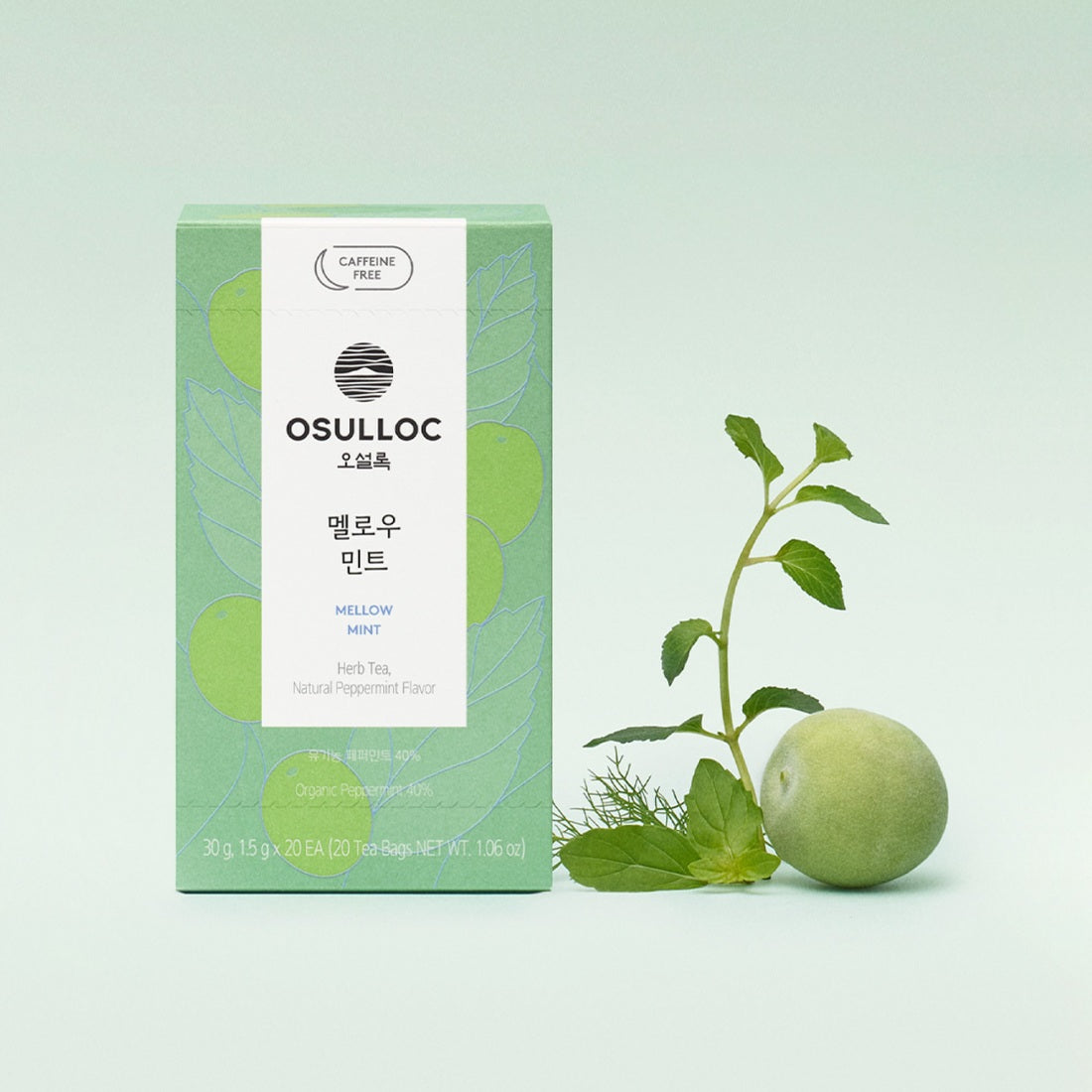 boîte vert pâle d'infusion Mellow Mint OSULLOC avec des feuilles de menthe fraîche et une tasse de thé.