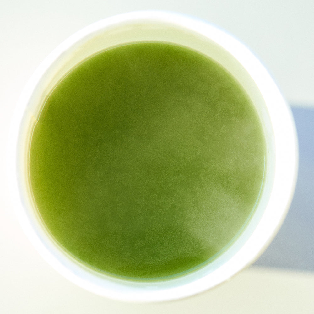 OSULLOC Set Matcha Électrique tasse de matcha
