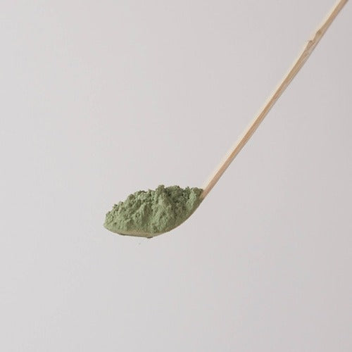 Magpie et Tiger Matcha Cérémoniel cuillere avec poudre de matcha 