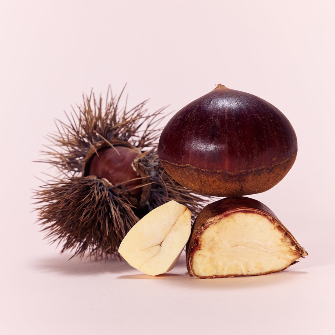 visuels de marrons entiers 