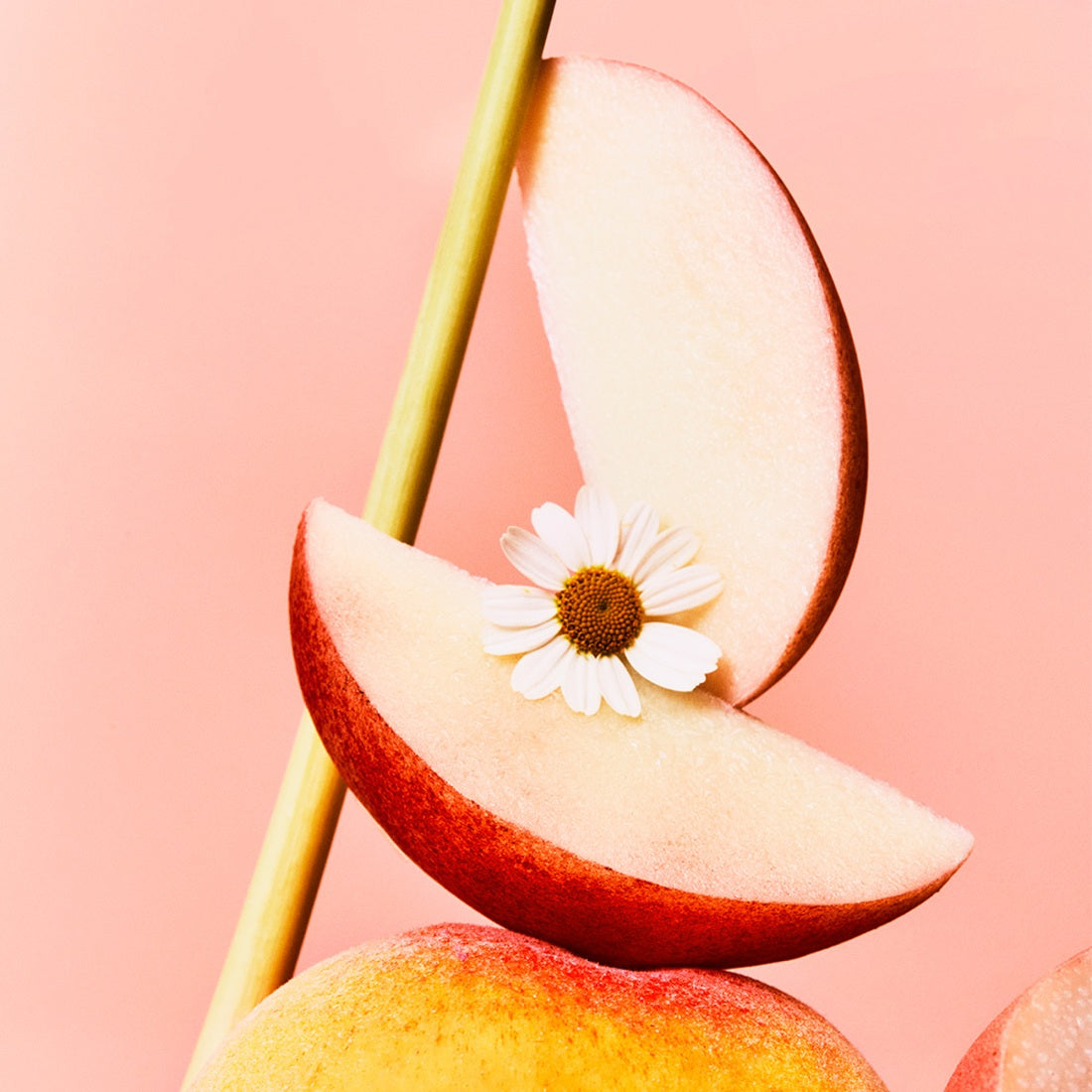 OSULLOC Peach Chamomile 20 sachets — Détail produit | Maison Boseong