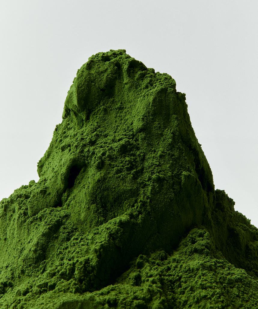 OSULLOC Set Matcha Électrique poudre