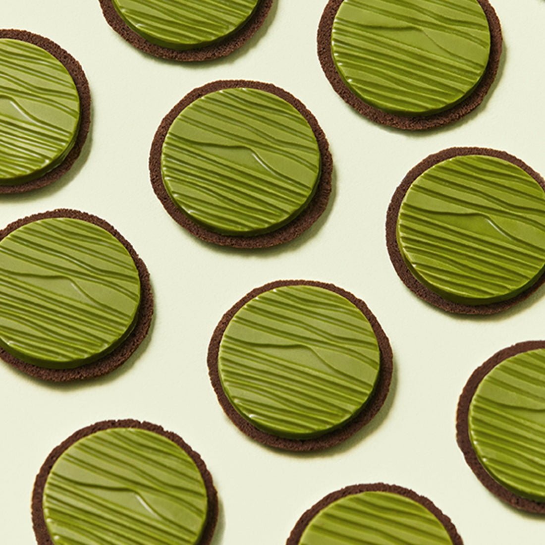 OSULLOC Signature Biscuits avec des visuels de biscuits ronds vert foncé 