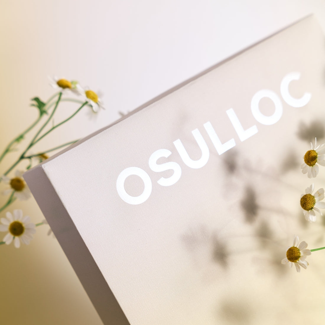 OSULLOC Tea Edition Herb 4 Types vue de haut