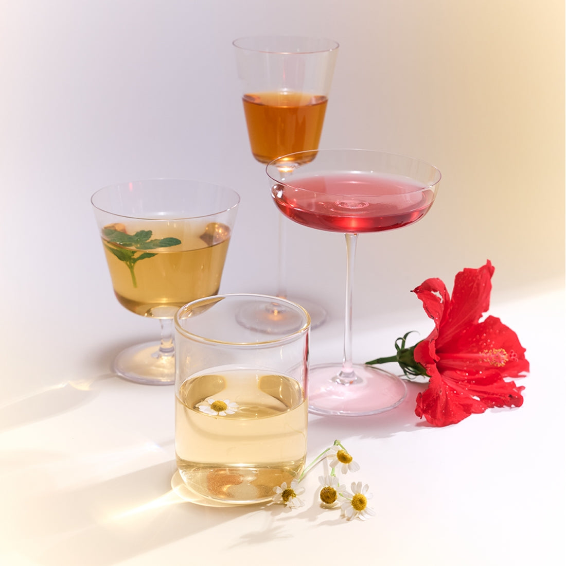 OSULLOC Tea Edition Herb 4 Types avec tasse