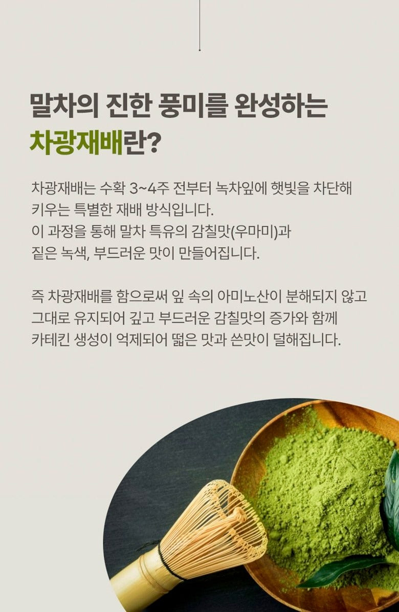 Joanna Plain Matcha Pur poudre chasen